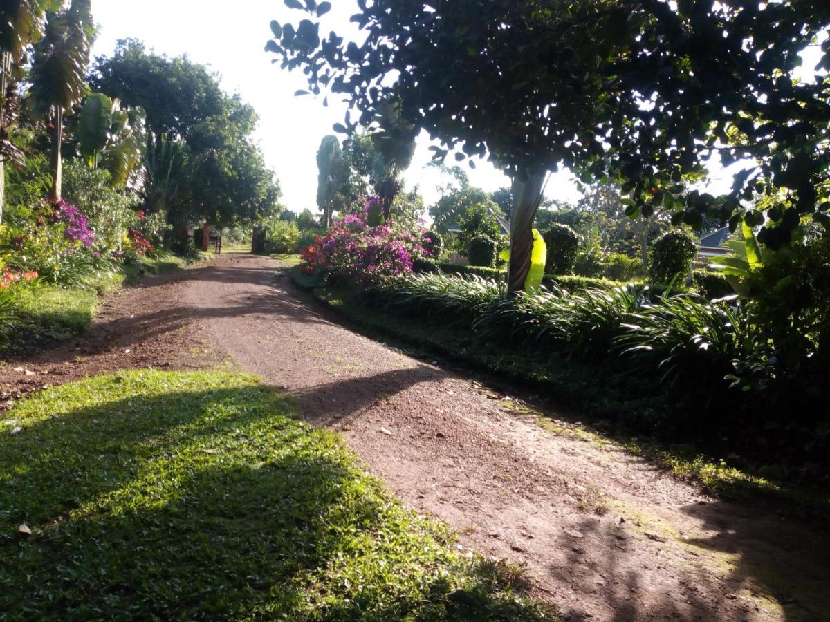 Hotel Philo Leisure Gardens Kalangala Exterior foto