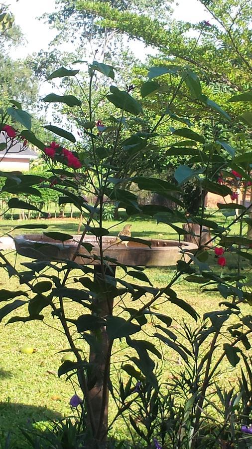 Hotel Philo Leisure Gardens Kalangala Exterior foto